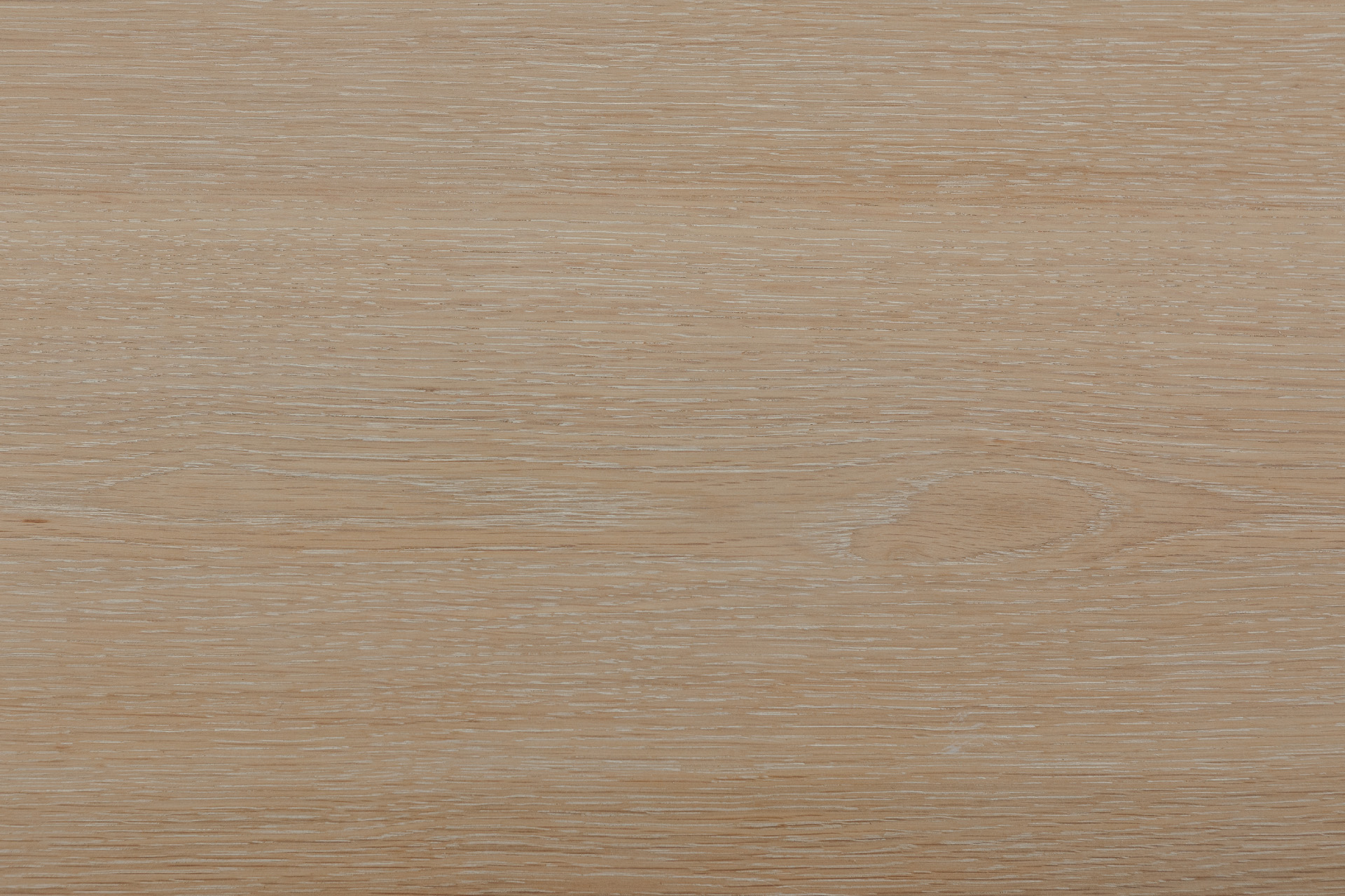 DNE-TP_20b-web